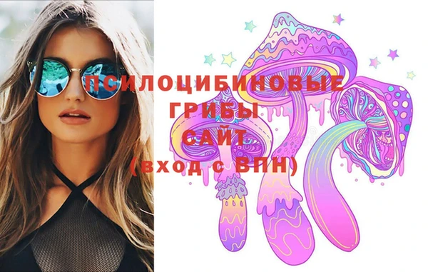 индика Алексеевка