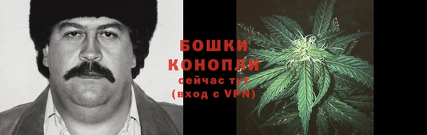 дживик Сафоново