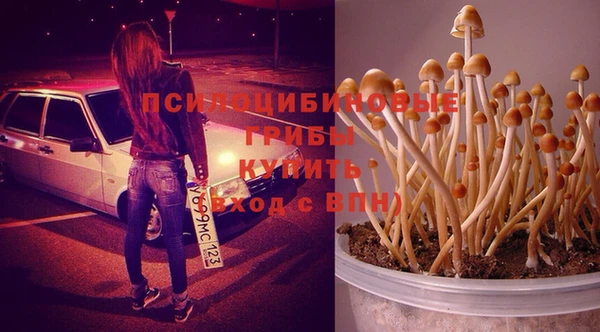индика Алексеевка