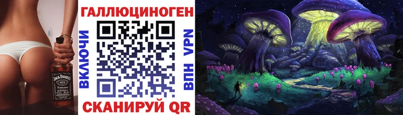 где продают наркотики  Кашин  Псилоцибиновые грибы Psilocybe 