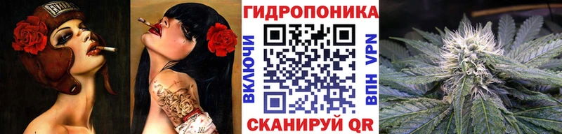 МЕГА как войти  Кашин  Каннабис планчик 